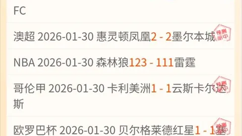 尚帕尼期待双星闪耀，韦斯利与马穆超常发挥